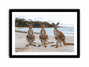 Sunset Hoppers Art Print