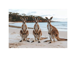 Sunset Hoppers