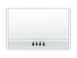 Oceanbound Roos Framed Print