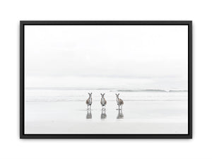 kangaroo On Beach Painting