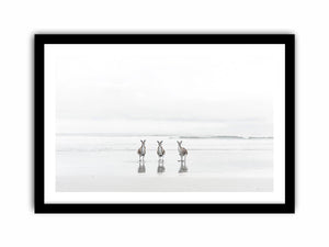 kangaroo On Beach Art Print