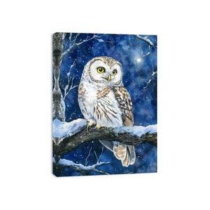 Cute Little Owl Canvas Print