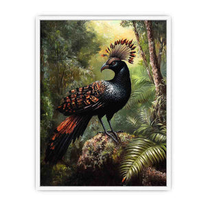 Lyrebird 2 Framed Print