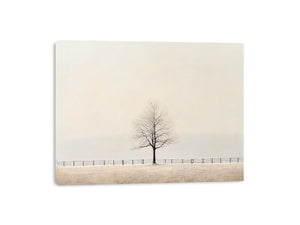 Veil Of Solitude Canvas Print