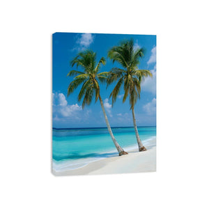 Tropical palm trees by turquoise ocean for coastal living room decor
