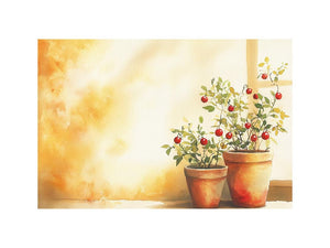 Petal Still