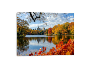 Streched canvas
