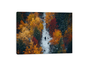 Aerial autumn forest canvas art with lone figure on path for modern living room decor.