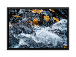 Rushing river photography canvas with autumn leaves for modern office or living room decor.