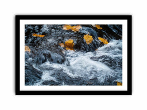 Framed Print