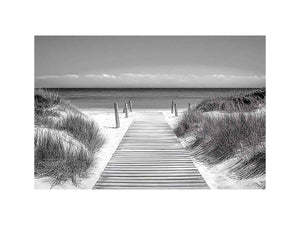 Monochrome Beach Path