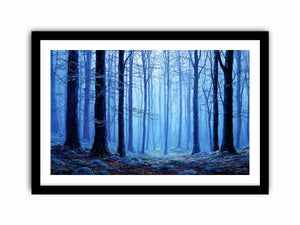 Framed Print