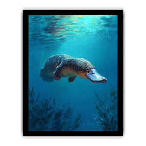 Platypus underwater wildlife canvas art for bathroom or coastal room decor.