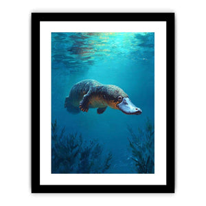 Platypus underwater wildlife canvas art for bathroom or coastal room decor.