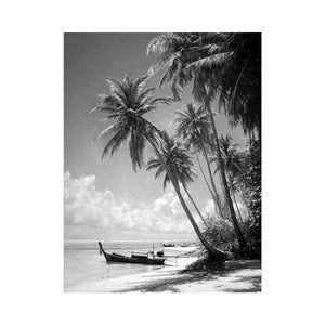 Black and white tropical palms and longtail boat for serene coastal bedroom wall art.
