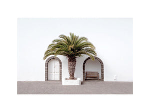 Minimal Mediterranean palm arch canvas art for modern entryway wall decor.
