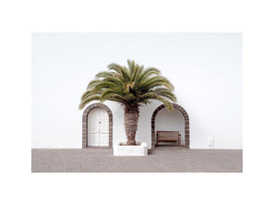 Beneath the Palm