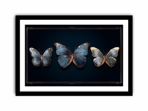 Framed Print