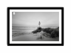 Black and white coastal dune photography canvas for calm modern decor.