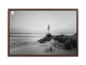 Black and white coastal dune photography canvas for calm modern decor.