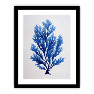 Blue coral botanical artwork for coastal bathroom and living room decor