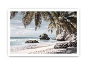 Palm-lined tropical beach with coastal rocks for luxury seaside decor