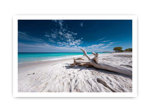 Driftwood Horizon coastal artwork for modern living room decor