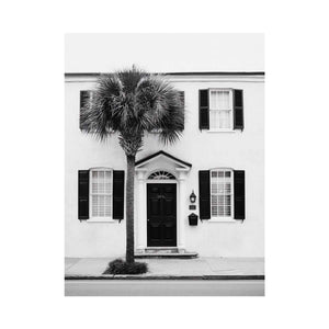 Palm House Noir coastal artwork for modern living room decor