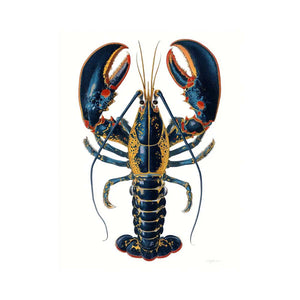 Blue and gold lobster illustration print for coastal kitchen and dining room decor.