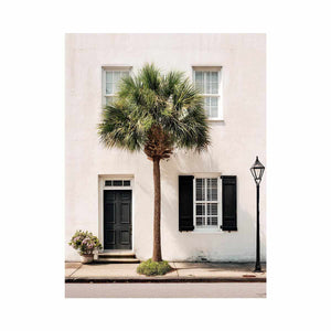 Elegant palm tree beside white coastal architecture for modern living room decor.