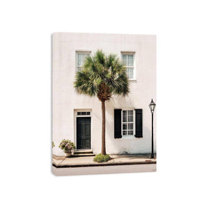 Elegant palm tree beside white coastal architecture for modern living room decor.