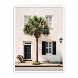 Elegant palm tree beside white coastal architecture for modern living room decor.