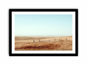 Framed Print