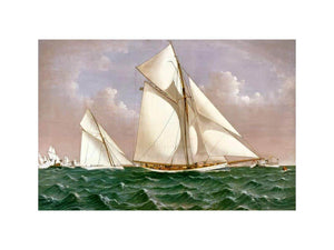 America's Cup, 1886