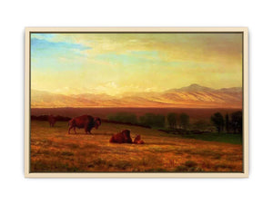 Buffalo on the Plains, c.1890 Art Print