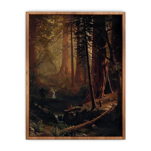 Giant Redwood Trees of California Poster