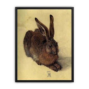 Young Hare I Canvas Print