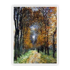 The Avenue Framed Print