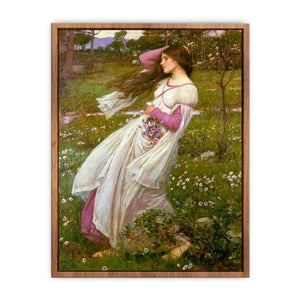 Windflowers 1903 Poster