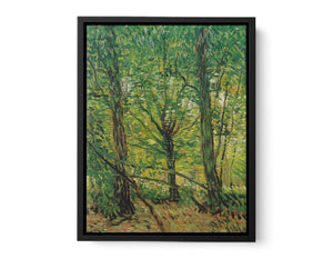 tree And Undergrowth Painting