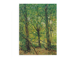 tree And Undergrowth Art Print.