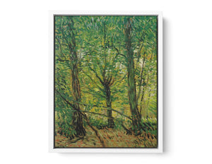 tree And Undergrowth Painting