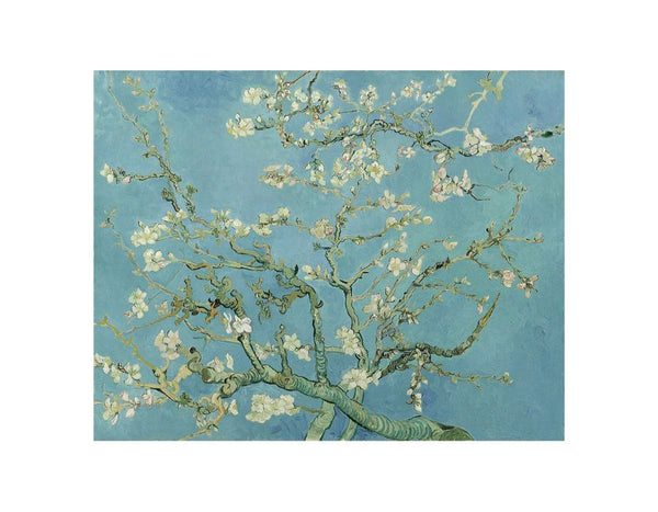 Blossoming Almond Tree Painting Art Print