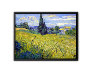 Green Field By Van Gogh canvas Print