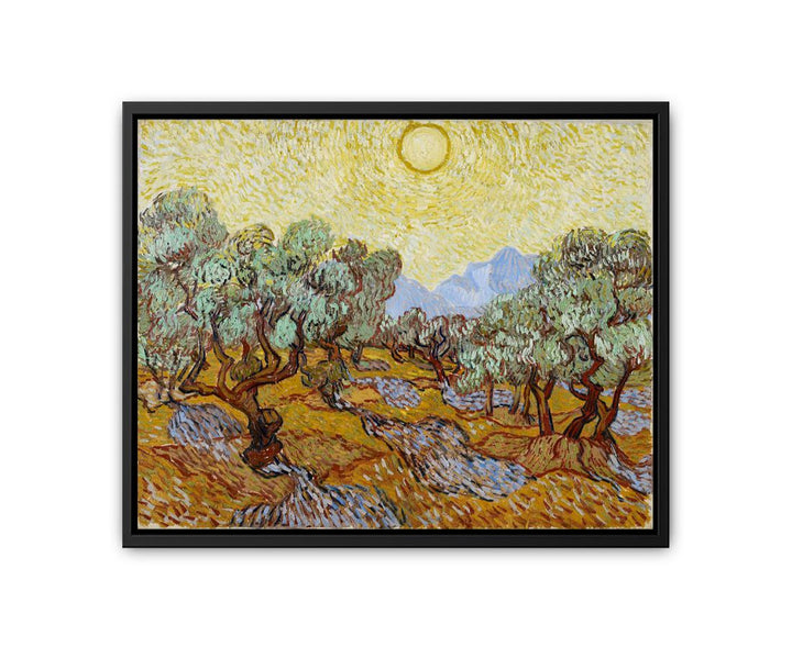 Olive Trees / Olive Trees with yellow sky and sun  canvas Print