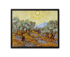 Olive Trees / Olive Trees with yellow sky and sun canvas Print