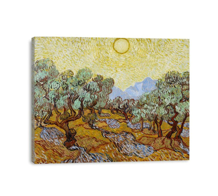 Olive Trees / Olive Trees with yellow sky and sun  canvas Print