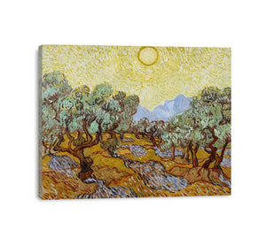 Olive Trees / Olive Trees with yellow sky and sun canvas Print
