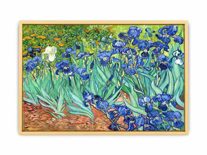 Irises By Van Gogh Painting Streched canvas