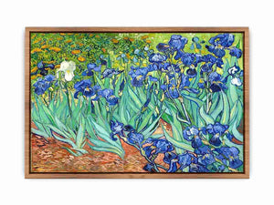 Irises By Van Gogh Painting Poster